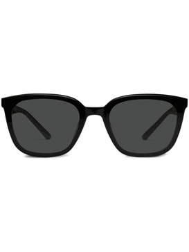 Pino 01 sunglasses