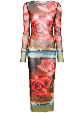 Roses-Print Long-Sleeve Mesh Maxi Dress