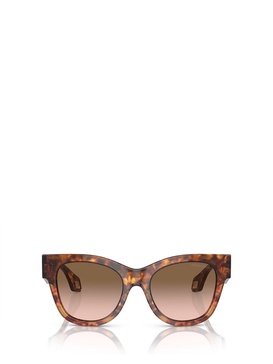 Ar8195u Red Havana / Orange Havana Sunglasses