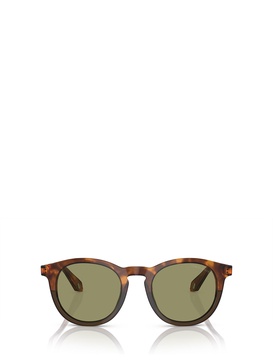 Ar8192 Havana Red / Opal Olive Green Sunglasses