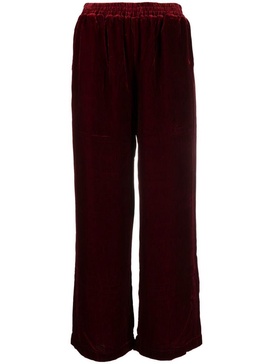 Gold Hawk Velvet Wide-Leg Trousers in Red