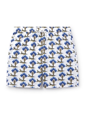 Straight-Leg Mid-Length Printed Swim Shorts