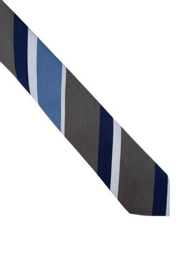 Ametora Striped Silk Tie