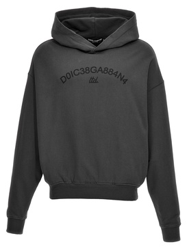 Logo Print Hoodie Sweatshirt Gray