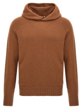 Wool Hooded Sweater Sweater, Cardigans Brown