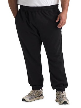 TNF BIG CORE SWEATPANT