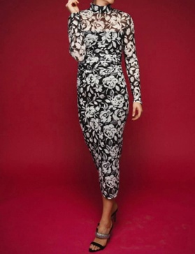 dominique long sleeved printed mesh dress in midnight rose