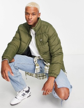 Dickies Waldenburg jacket in khaki