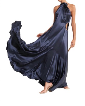 iris maxi dress in aspen