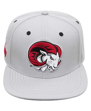 Men's Gray Winston Salem Rams Evergreen Mascot Snapback Hat