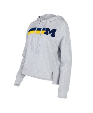 Women's Gray Michigan Wolverines Cedar Tri-Blend Raglan Pullover Hoodie