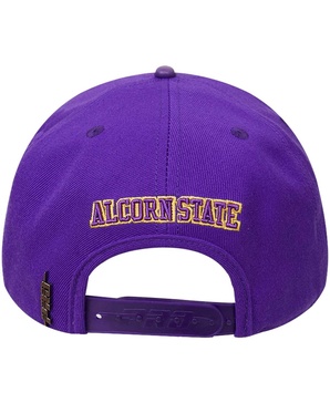 Men's Purple Alcorn State Braves Evergreen Primary Logo Snapback Hat