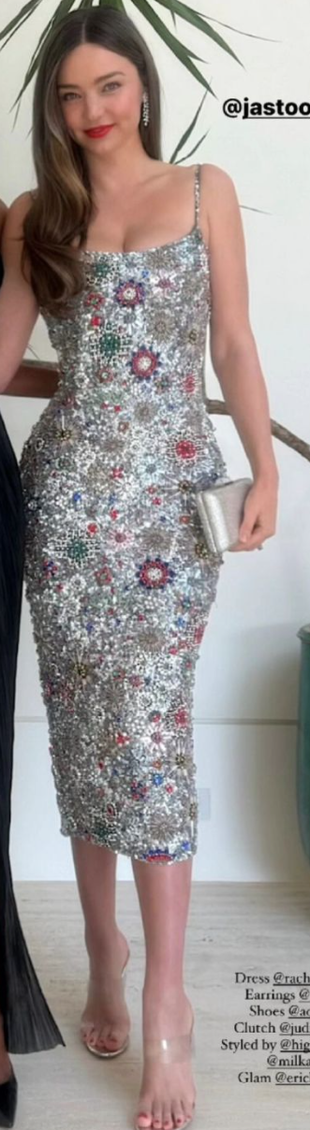 silver sequin dress?