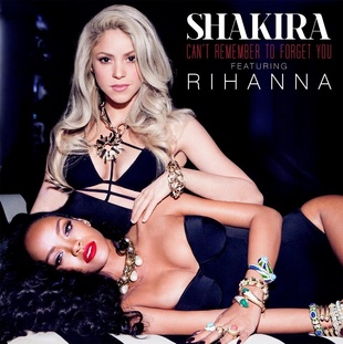 Rihanna Shakira Can't Remember to Forget You Cover