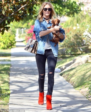 Rosie Huntington-Whiteley with a Miniature Dachshund February 17, 2016