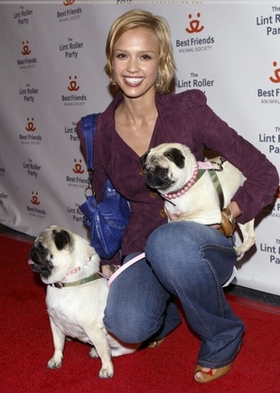 Jessica Alba 2005 Annual Lint Roller Party. May 6, 2005