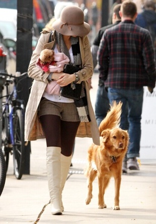 Blake Lively Goes to Ryan Reynolds Apartment in Boston November 13, 2011