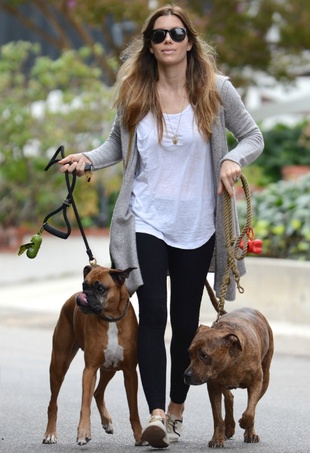 Jessica Biel Walking Her Dogs in Nyc October 13, 2013