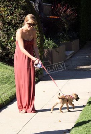 Lauren Conrad Walking Her Dog in LA February 27, 2008