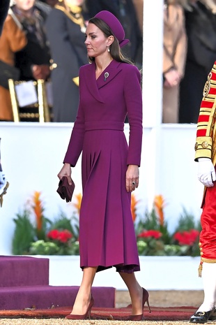 Kate Middleton Horse Guard's Parade November 22, 2022