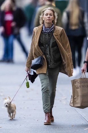 Naomi Watts Walking Her Dog December 13, 2021