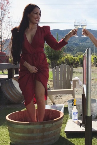 Nikki Bella Grgich Hills Estate October 31, 2018