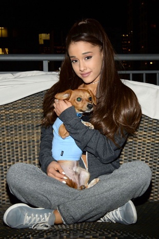 Ariana Grande Badass Brooklyn Animal Rescue Adoption March 19, 2015