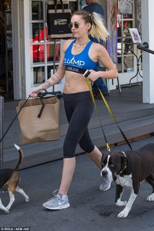 Miley Cyrus Walking Her Dogs April 7, 2017