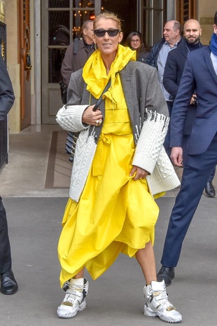 Celine Dion During Paris Fashion Week, January 29, 2019