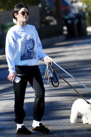 Lucy Hale Walking Her Dogs January 5, 2022