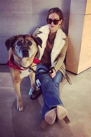 Hilary Duff With Her Dog Lucy March 15, 2018