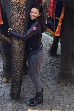 Eva Longoria at a Tiger Reserve in India December 17, 2015