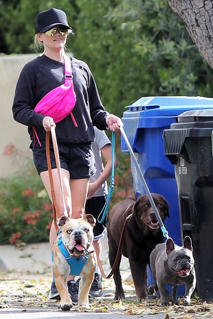 Reese Witherspoon Walking Her Dogs April 6, 2020