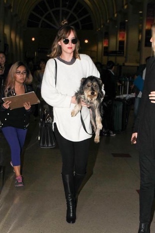 Dakota Johnson LAX Airport November 6, 2015