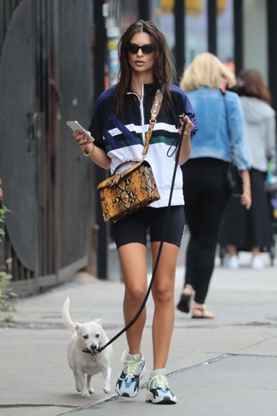 Emily Ratajkowski Walking Her Dog September 1, 2018