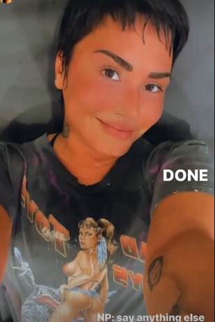 Demi Lovato Instagram Story June 17, 2021