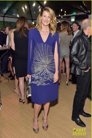 Laura Dern at the Moet Pre Golden Globes Party January 5, 2018