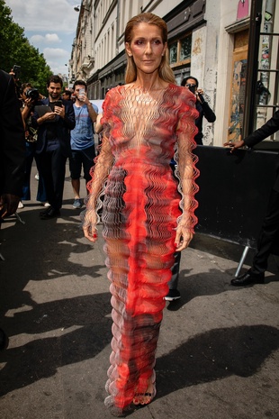 Celine Dion Iris Van Herpen Hypnosis Couture Show July 1, 2019