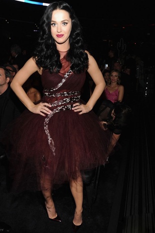 Katy Perry Grammy Awards January 26, 2014