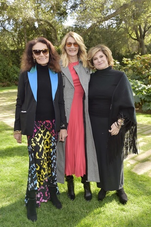 Laura Dern Diane Von Furstenberg & the Academy's Oscars Luncheon to Celebrate Female Nominees February 5, 2020