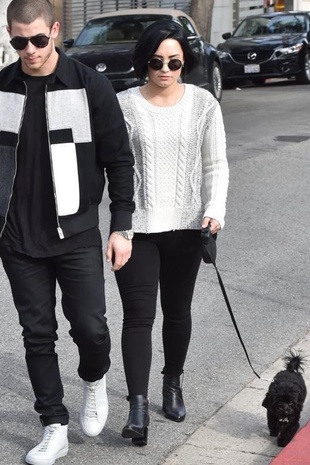 Demi Lovato Walking Her Dog with Nick Jonas January 27, 2016