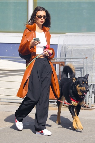 Emily Ratajkowski Walking Her Dog March 2, 2020