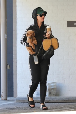 Katy Perry With Her Dog March 3, 2019