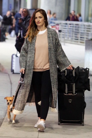 Minka Kelly Arrives in Toronto With Her Dog Fred May 21, 2018