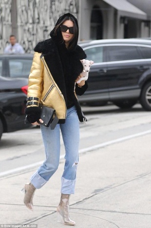 Kendall Jenner West Hollywood January 2, 2017