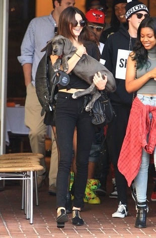 Kendall Jenner with Her New Great Dane Puppy Blu October 23, 2013