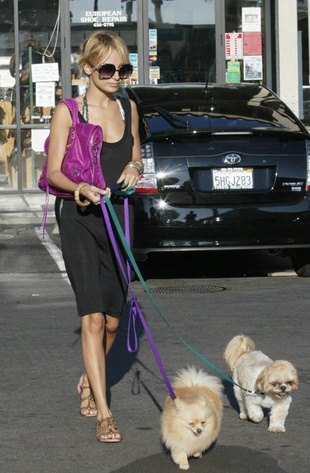 Nicole Richie Out with Her Dogs in Malibu September 3, 2005