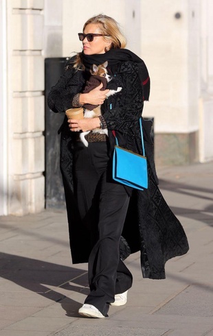 Kate Moss Catwalk Queen Kate Moss Carries Her New Puppy November 23, 2017