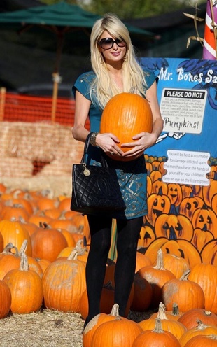 Paris Hilton at Mr Bones Pumpkin Patch in Los Angeles October 28, 2009