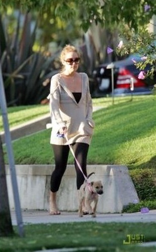 Lauren Conrad Taking Chloe For a Walk March 21, 2008